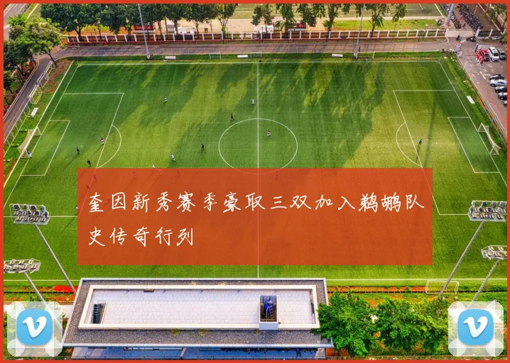 奎因新秀赛季豪取三双加入鹈鹕队史传奇行列